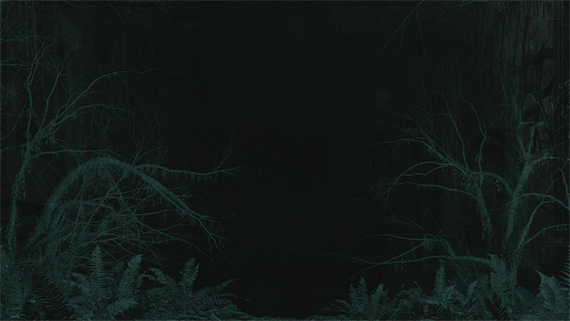 Preorder_background.jpg 心灵杀手2|豪华中文|V1.2.8+湖边小屋DLC+预购奖励+全DLC+扩展包通行证+官方作弊器实装|解压即撸|