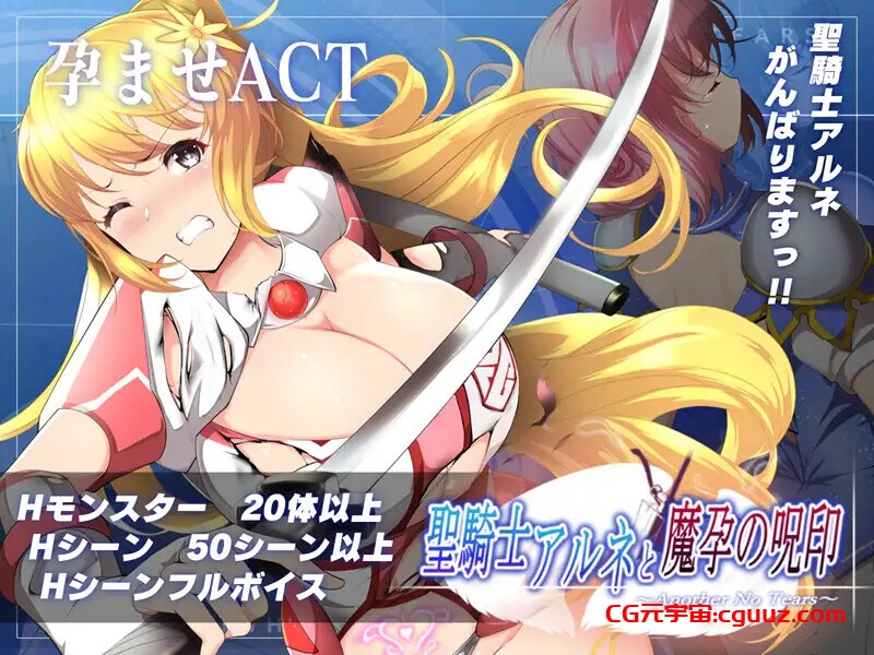 【爆款ACT/战斗H/全动态/官中】圣骑士阿恩与魔孕咒印(聖騎士アルネと魔孕の呪印~Another No Tears~)V1.0.10 DL官中【4.40G】