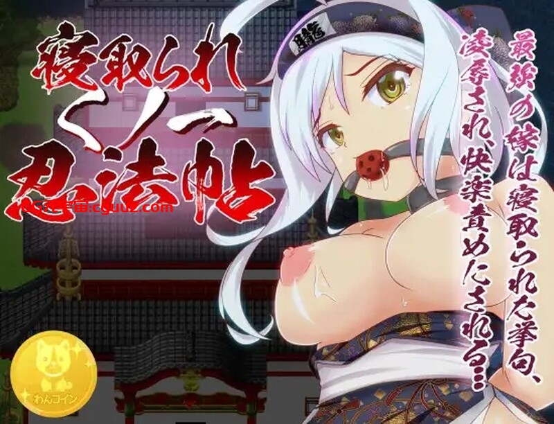【回合RPG/动态/官中】戴绿帽子的国一忍者(Ninja Infiltration)正式版 STEAM官中【400MB】