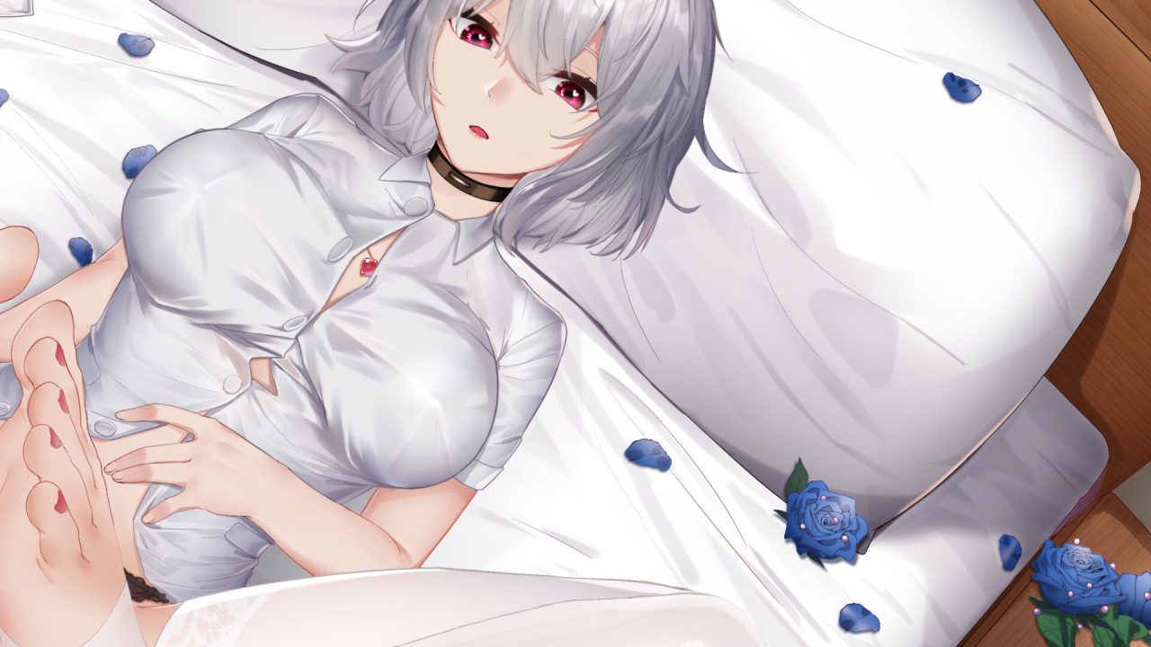 【休闲SLG/动态/官中】掉落玩偶(Drop Doll)Build.13084389-(STEAM官中+DLC扩展包)【300MB】