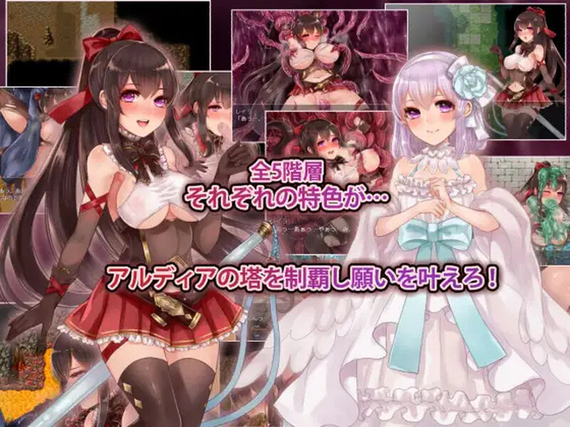【精品RPG/战斗H/官中】阿尔迪亚之塔(アルディアの塔)V1.03 STEAM官中【1.20GB】