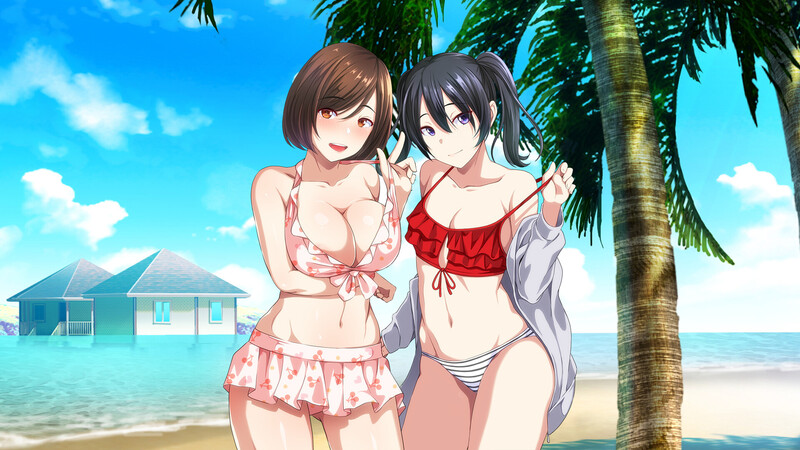 【ADV/辣妹泳装/官中】群女乱滩齐斗艳:处男撒香引爆春潮海滩(オンナが群がるカオスビーチ フェロモンをまき散らす童貞男が練り歩く!)V1.0 STEAM官中【1.7G】