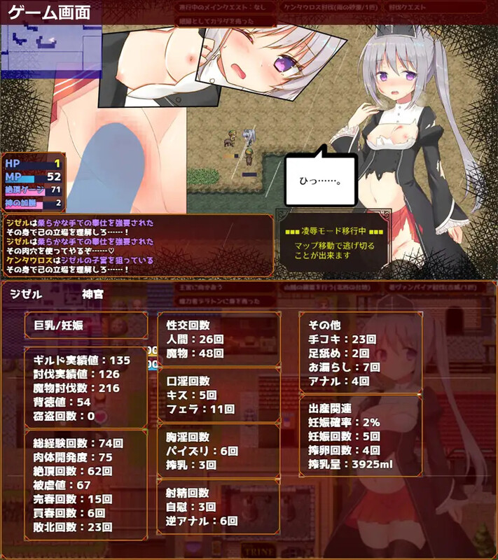 【精品RPG/卖春强X/汉化】未亡人神官吉赛尔不惜出卖身体也要报仇(未亡人神官ジゼルは身体を売っても仇を討ちたい)V1.0 内嵌AI汉化【双端-1.30G】