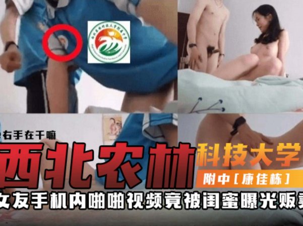 网曝西北农林科技大学附中黑料