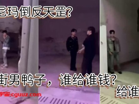 我尼玛倒反天罡?站街男鸭子,谁给谁钱?给谁忙 ?在线观看